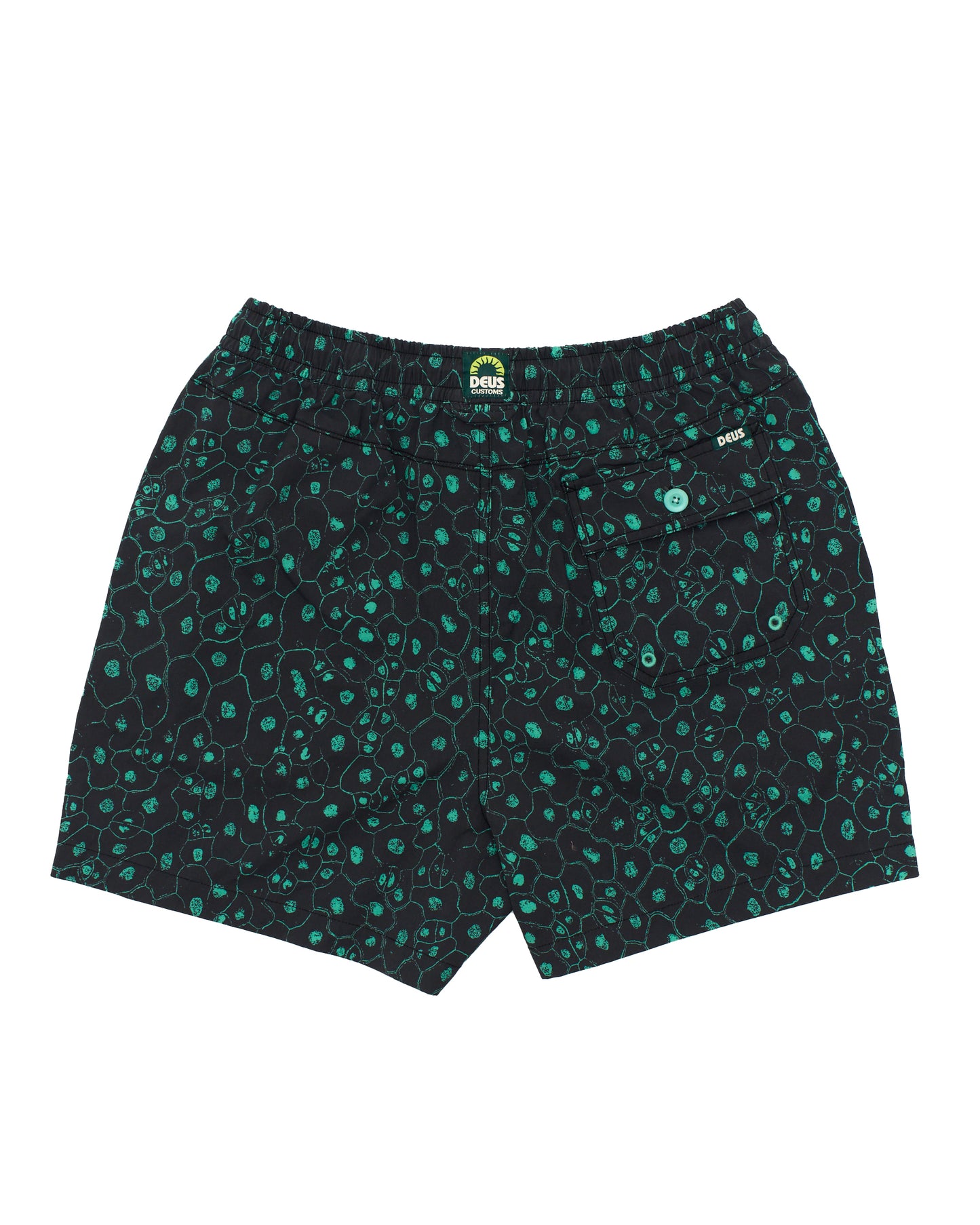 Plant Cell Boardshort