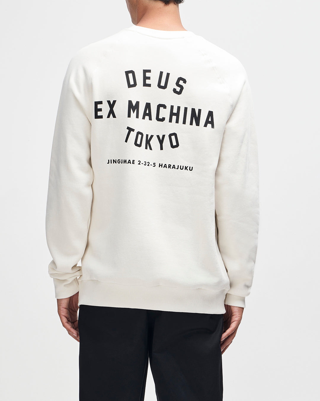 D261MSW113-HarajukuAddressCrew|Model