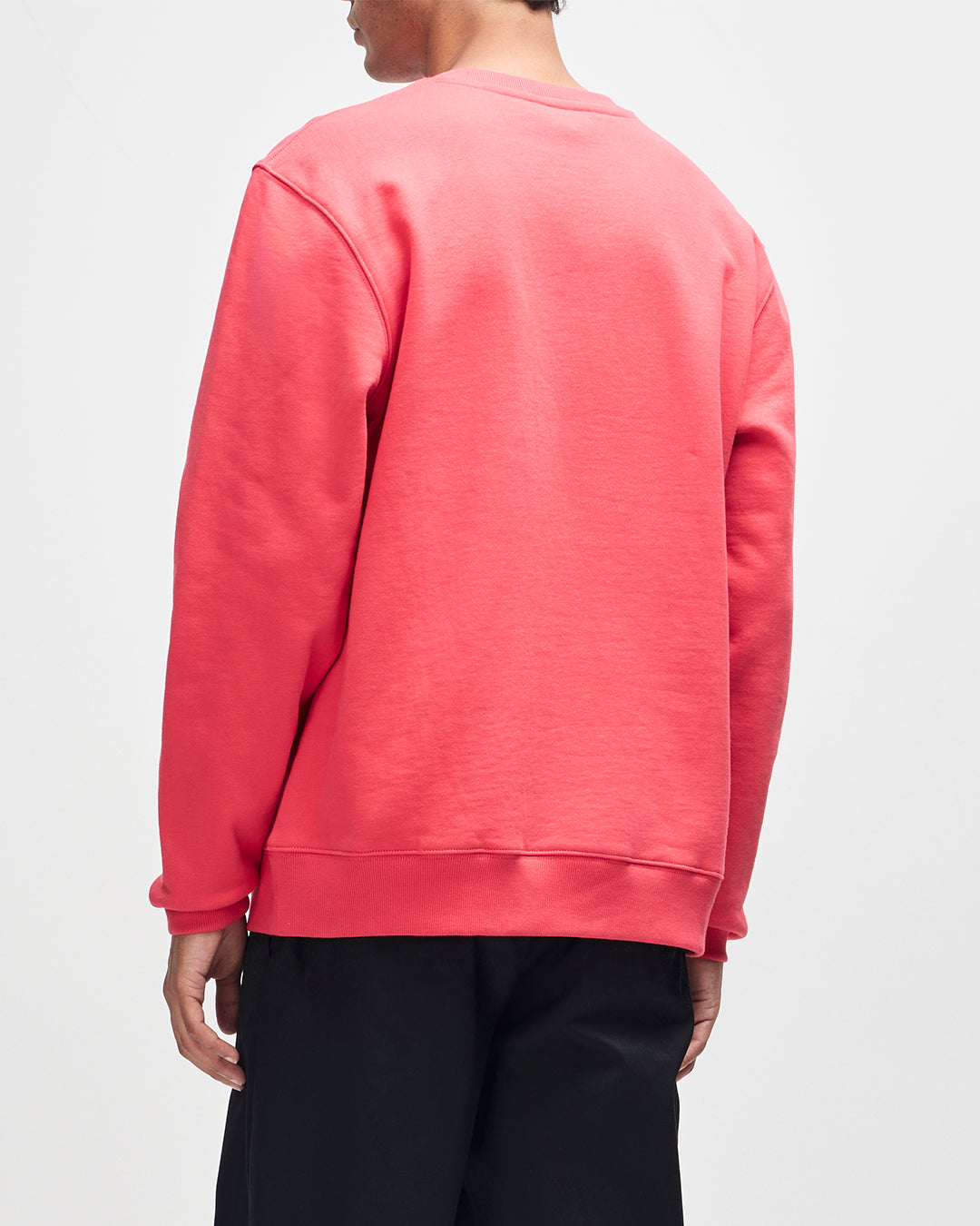 D261MSW171-PillLogoCrew-Melon|Model