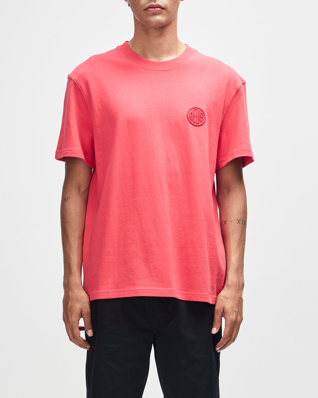 D261MTS172-PillLogoTee-Melon|Model