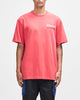 D261MTS541-DepartedTee-MelonRed|Model
