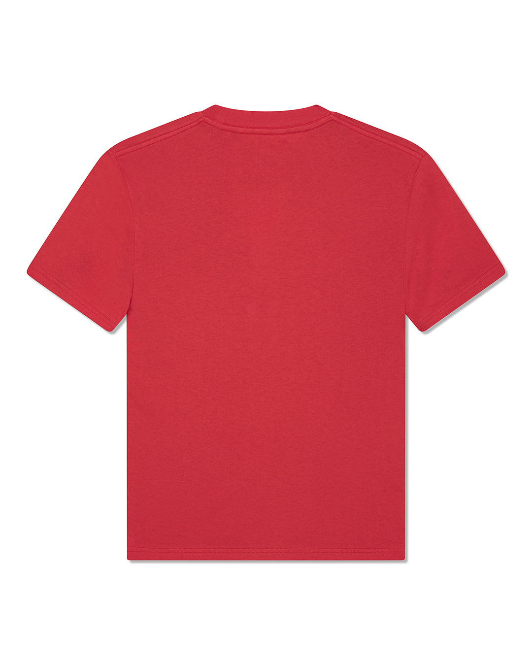bird-scratch-tee-poinsettia-red|Flatlay