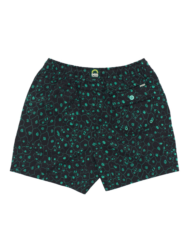 Plant Cell Boardshort - Biscay Green