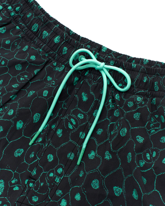 Plant Cell Boardshort - Biscay Green